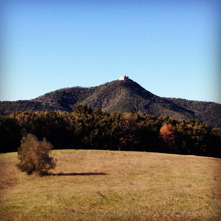 Agriturismo San Nicolo Montecastelli Pisano ภายนอก รูปภาพ