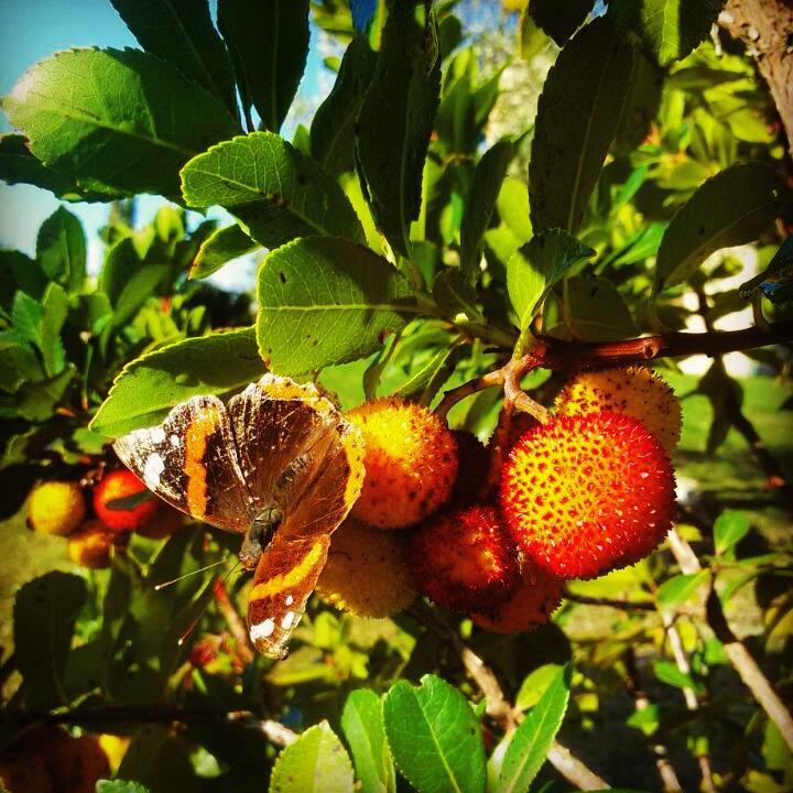 Agriturismo San Nicolo Montecastelli Pisano ภายนอก รูปภาพ
